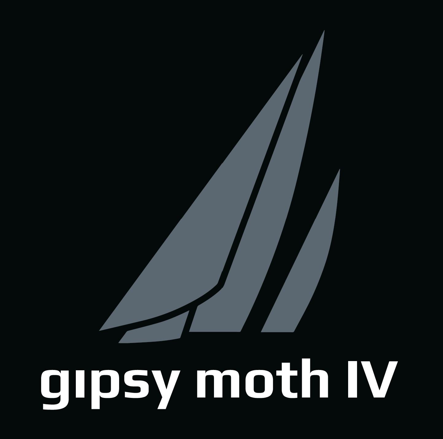 Gipsy Moth IV
